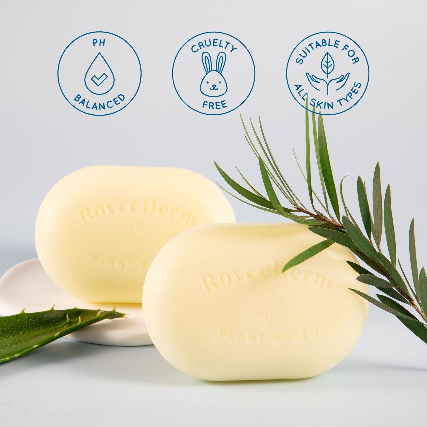 Roycederm Tinea Versicolor Relief Soap: Tea Tree Oil & Sulfur Cleansing Bar, Soothes Irritation, Hydrates & Supports Skin Health Beauty & Personal Care Roycederm
