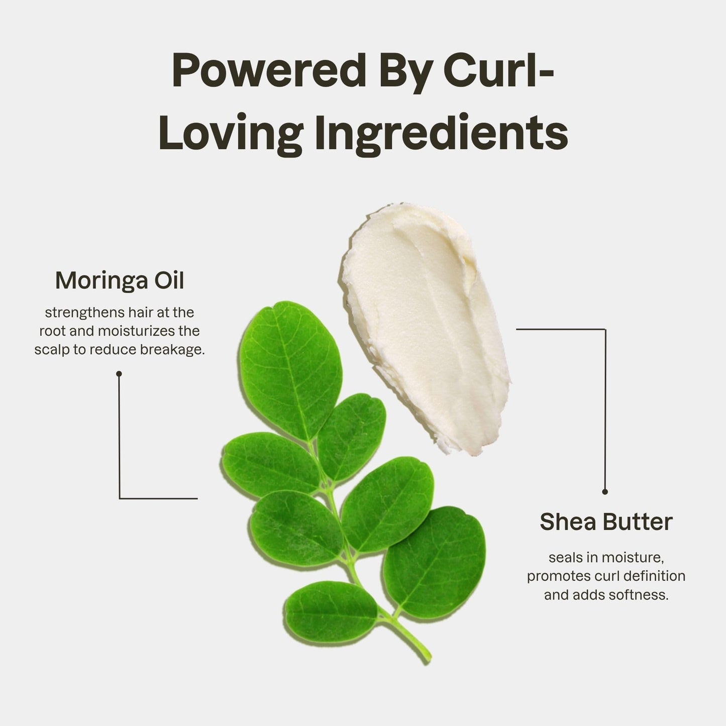 Love Ur Curls - Fragrance Free Conditioner, Hydrating and Detangling for Curly, Wavy and Kinky-Coily Hair for Soft Smooth Curls, Silicone Free 250ml Beauty and Personal Care Love Ur Curls