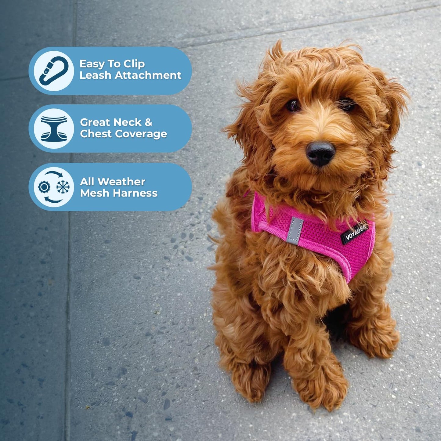 Best Pet Supplies Voyager Step-in Air Dog Harness - All Weather Mesh, Reflective No-Pull for Small/Medium Dogs & Cats - Secure Buckle, D-Rings - Fuchsia S