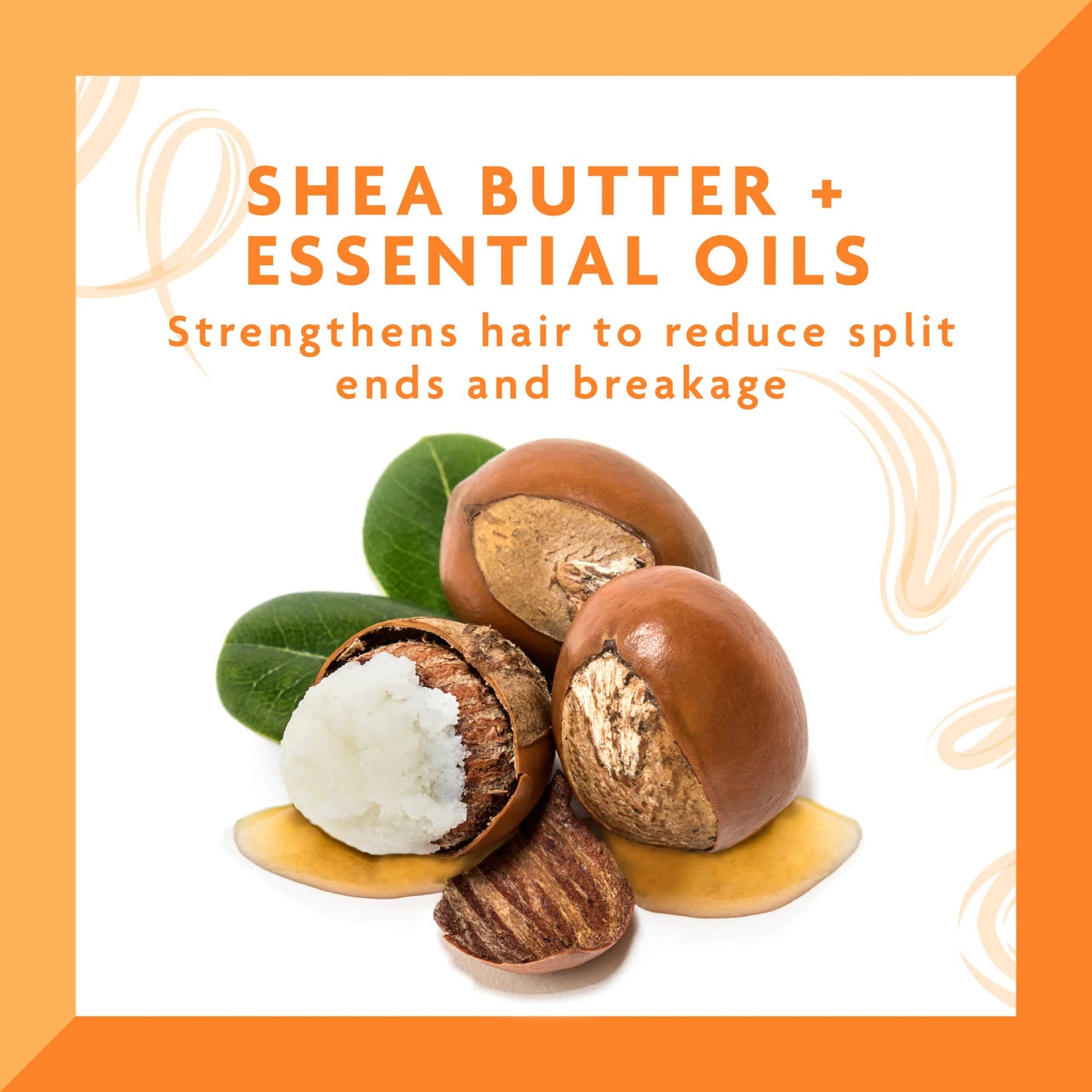 Cantu Daily Oil Moisturizer with Shea Butter, 13 fl oz (Pack of 3)