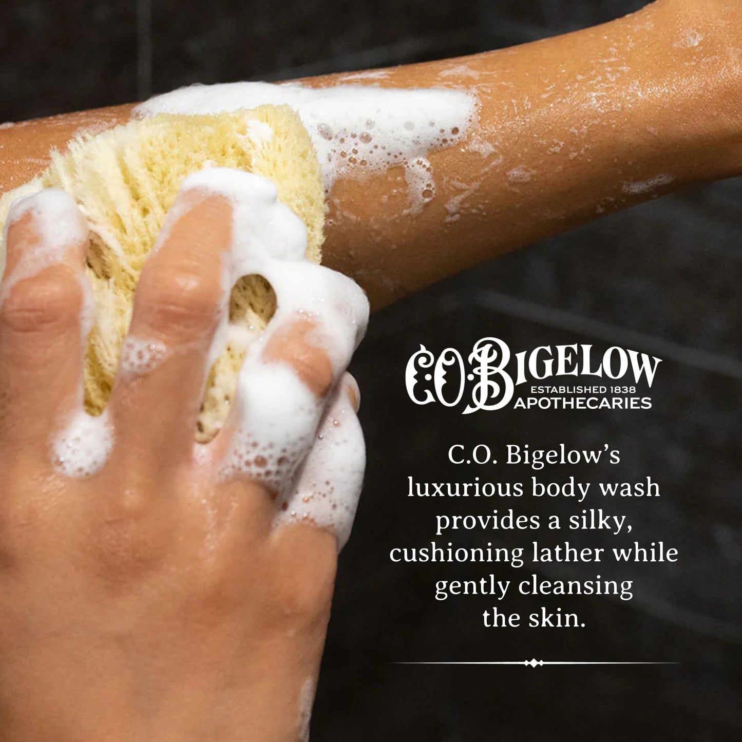 C.O. Bigelow West Village Rose Body Wash, Iconic Collection Moisturizing Body Wash with Coconut Oil & Aloe Vera, 10.5 Fl Oz Beauty & Personal Care C. O. Bigelow