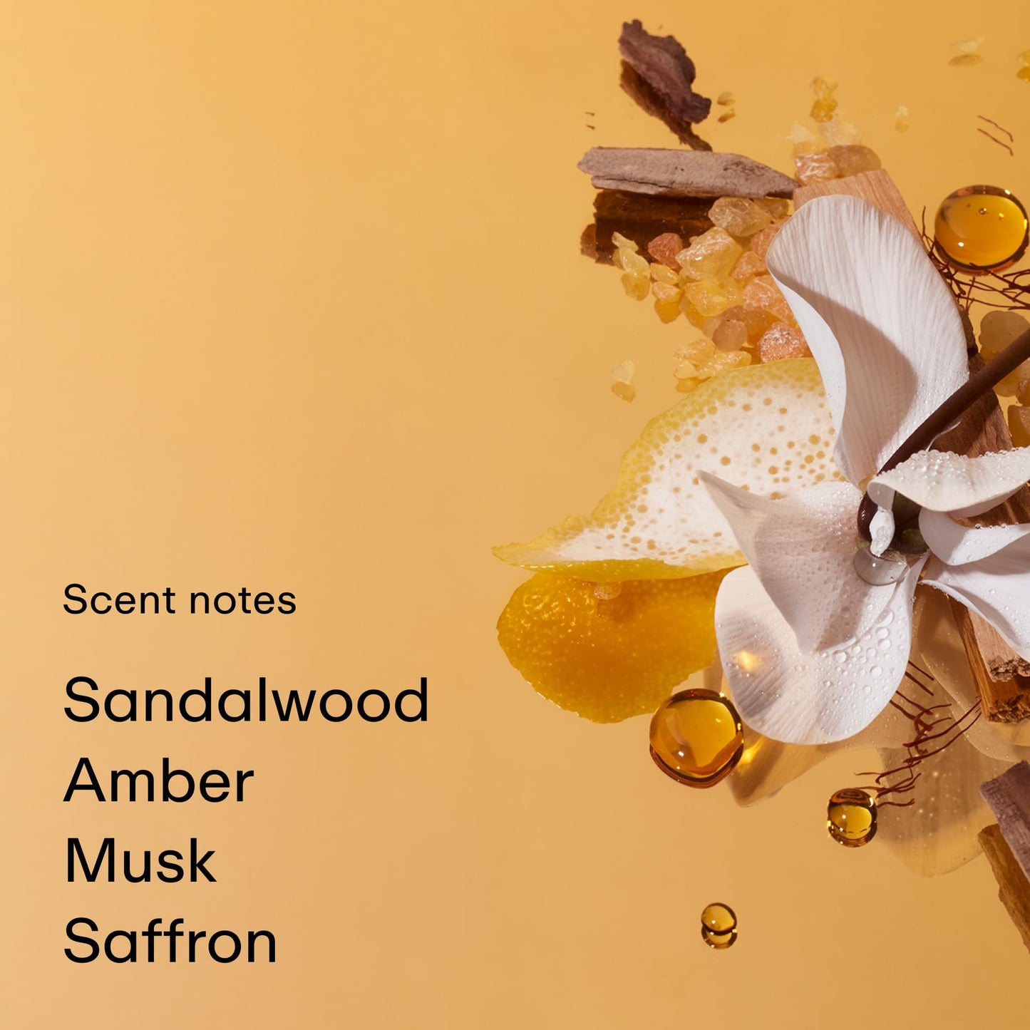 PHLUR Somebody Wood Eau de Parfum - Full Size Perfume Fragrance - Spicy Woody Perfume with Bergamot, Lemon, Cedarwood, Sandalwood, Musk & Vanilla