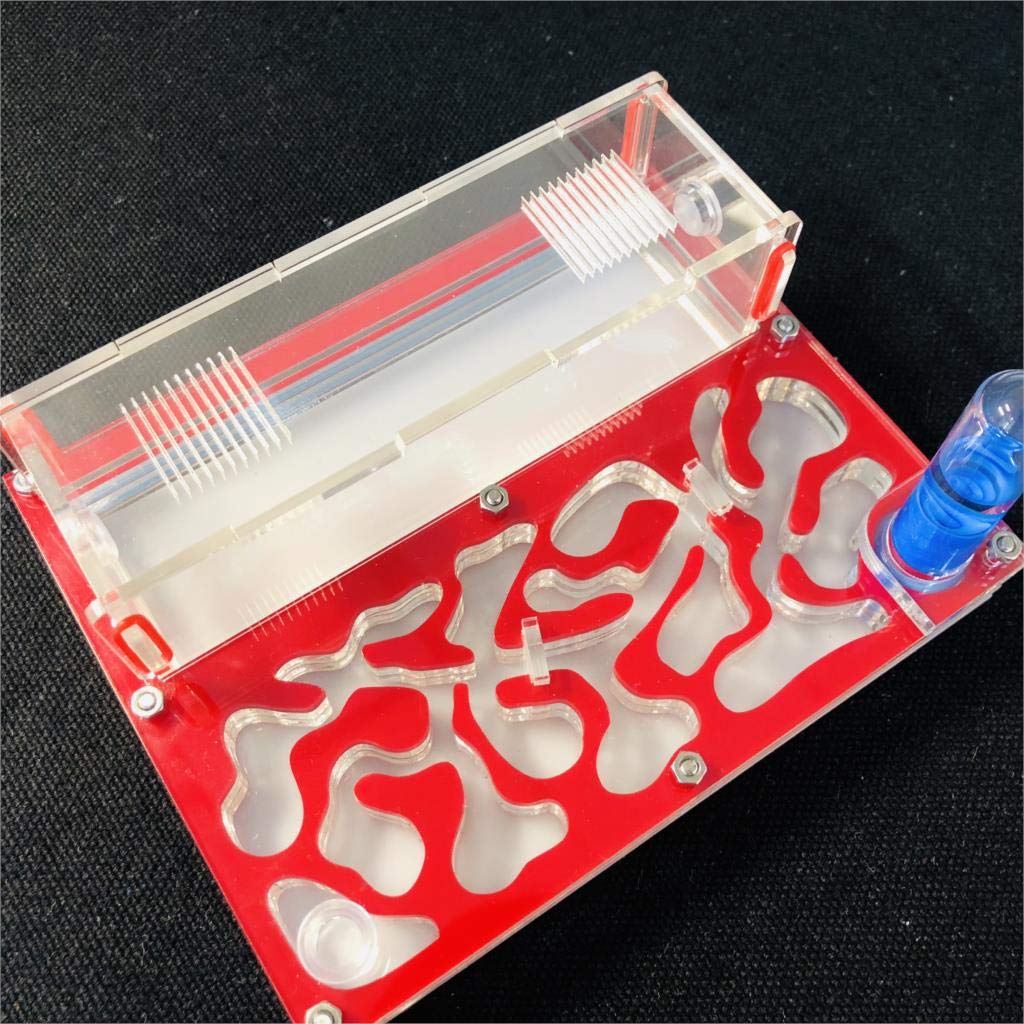 ANT 150mmx110mm Test Tube Moisture Big Space Nest Farm Acrylic, Insect Villa House Ecological Workshop (red)