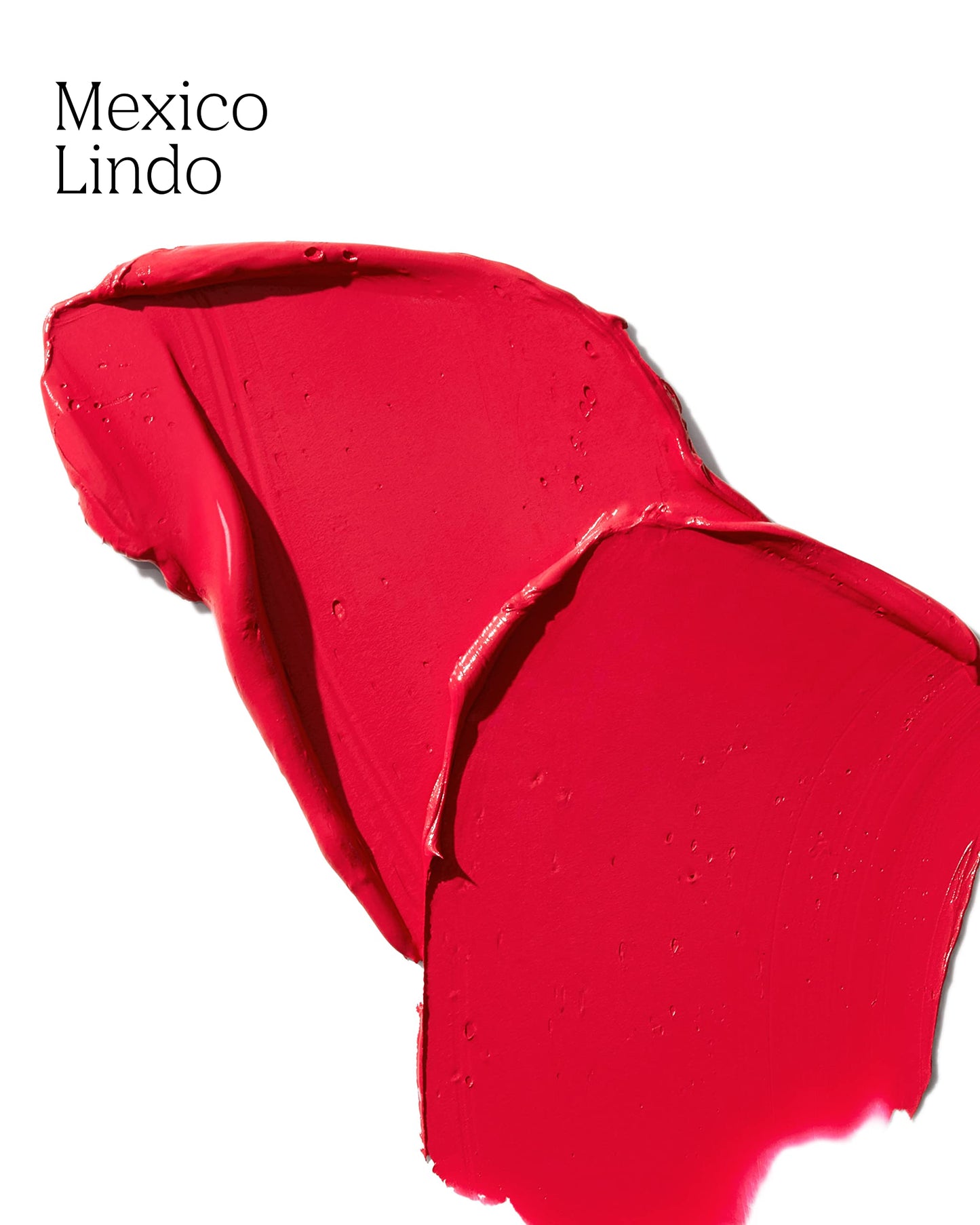 PDL Cosmetics Bold Aspirations Liquid Lipstick (Mexico Lindo) | Highly Pigmented Smooth Matte Finish | Blue-Red Tone | Long Lasting, Non-Transfer