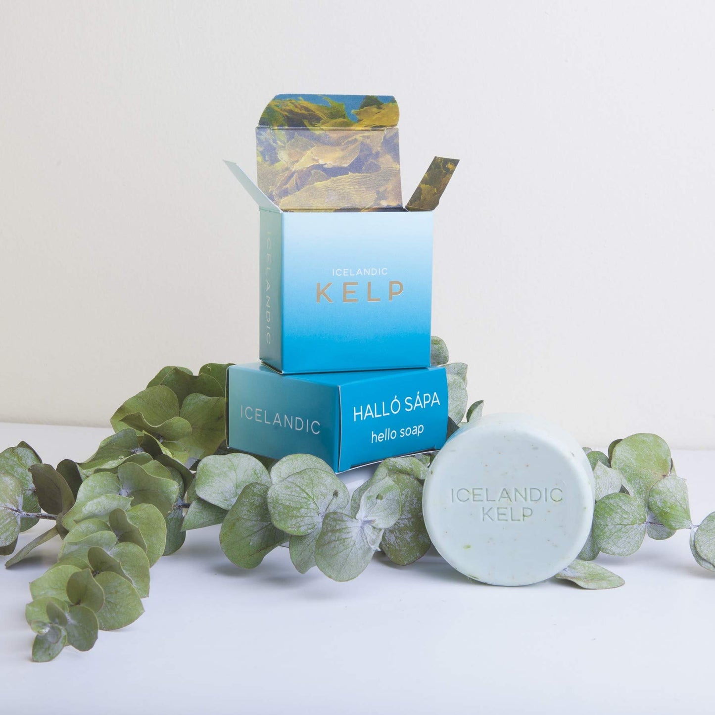 Exfoliating Bars of Soap From Natural Ingredients, Assorted Scents - Icelandic Kelp and Moss, Set of 2, 4.3 Ounce Each