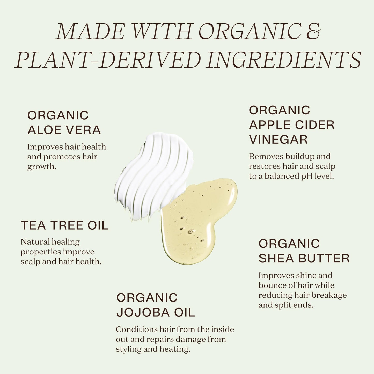 Ingreendients Non Toxic Vegan Shampoo and Conditioner with Organic Ingredients, Apple Cider Vinegar, Tea Tree Oil - Color Safe, Paraben & Gluten Free