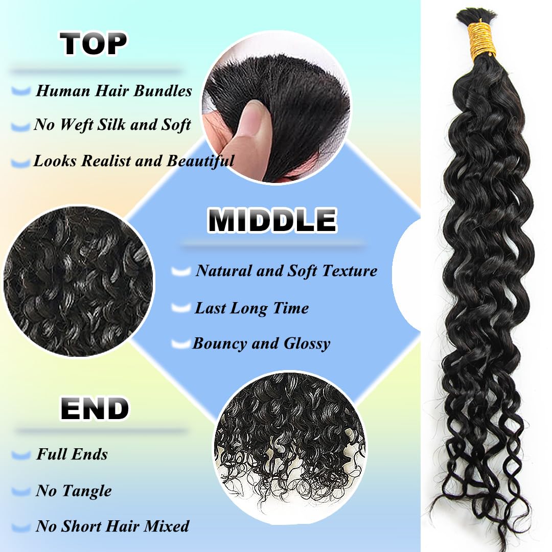 YWIGS Tape In Hair Extensions Human Hair 40 Pieces 100g Kinky Curly Tape In Hair Extensions 20" NC(Natural Brown) Beauty and Personal Care Y WIGS