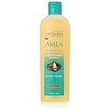 SoftSheen-Carson Optimum Salon Haircare Amla Legend Moisture Remedy Shampoo, 13.5 oz