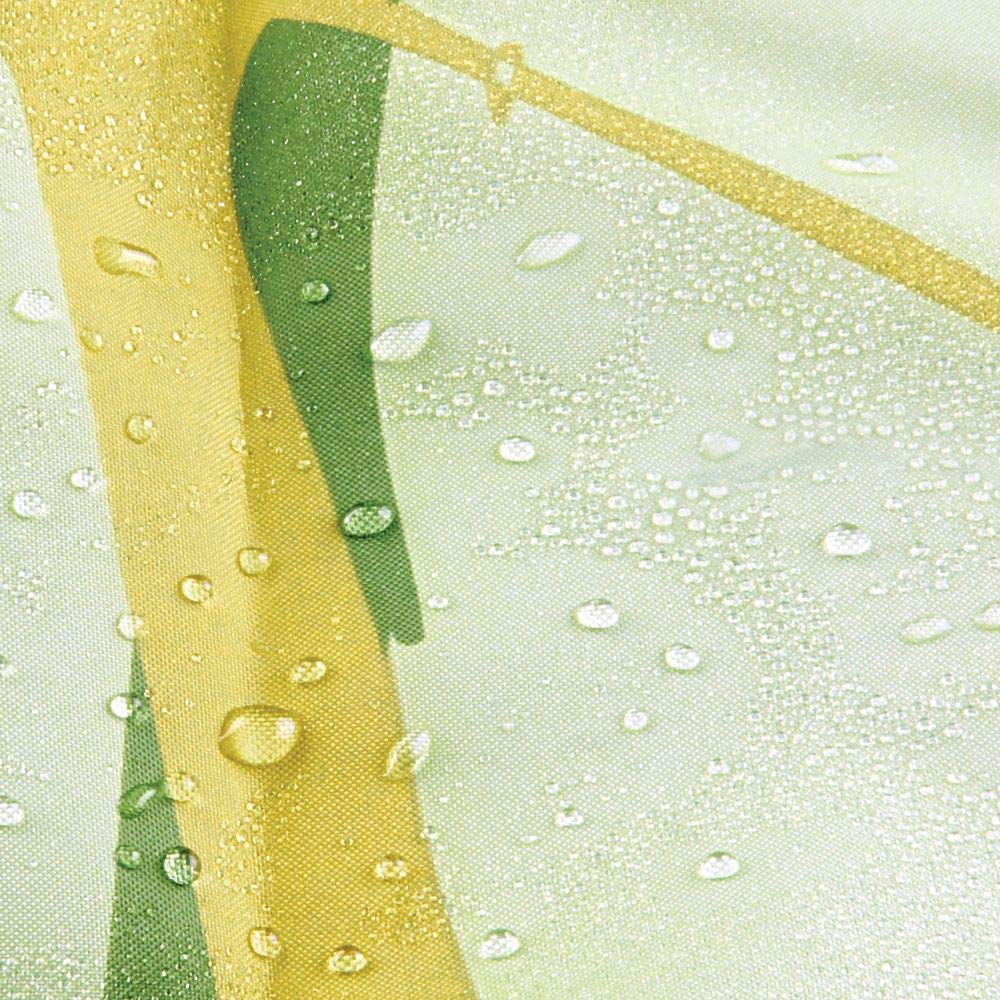 iDesign Thistle Floral Fabric Bathroom Shower Curtain - 72" x 72", Green