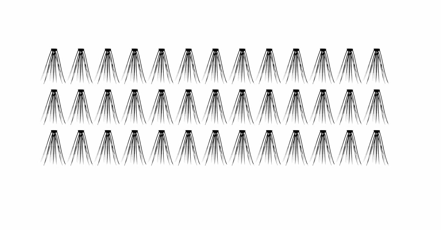 Magnetic Individuals Long