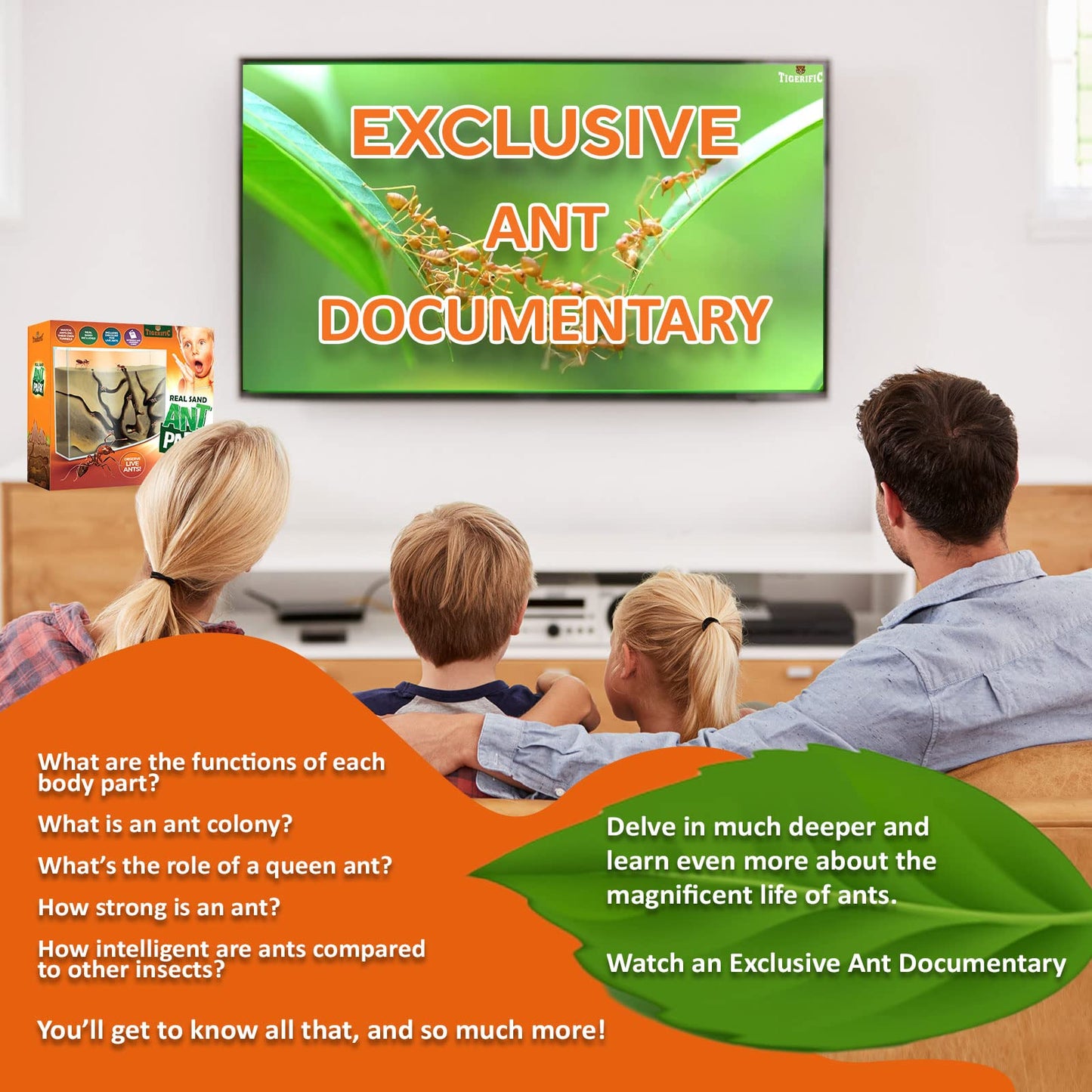 Tigerific Ant Farm – Live Ant Colony Kit with Real Sand, Fun Science Habitat for Kids, Watch Ants Dig Tunnels, Carry Food & Explore