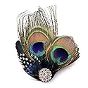 Aliotech Beautiful Butterfly Peacock Feather Hair Clip Pins with Rhinestones,Feather Hair Clip Pin Bridal Wedding Dance Party Hair Accessory