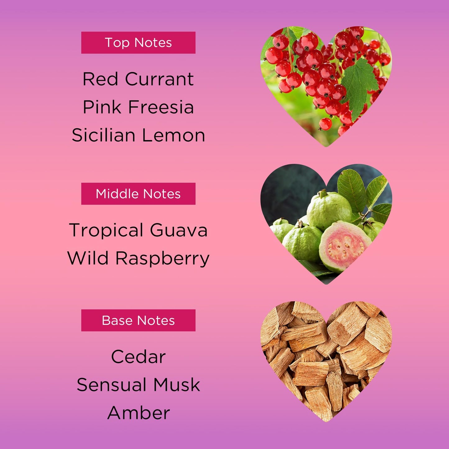 Bebe Love Body Mist - Body Spray for Women - Floral Fruity Fragrance Mist - Romantic Scent with Sicilian Lemon, Redcurrant, and Pink Freesia - 8.4 oz