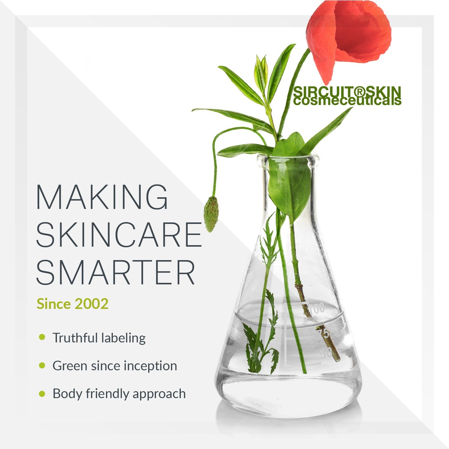 Sircuit Skin EYE TECH Anti-Wrinkle Eye Emulsion - Moisturizing Eye Treatment with Borage Oil, Echinacea Stem Cells, and Ceramide 3 - Daily Eye
