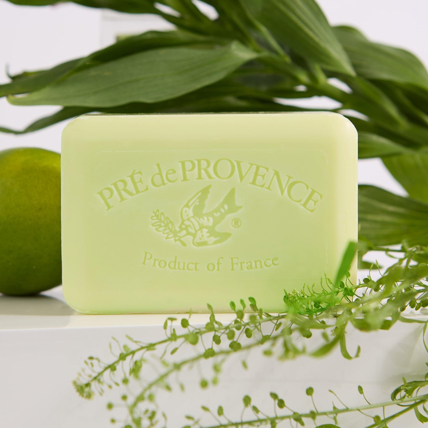 Pre de Provence Artisanal Soap Bar, Enriched with Organic Shea Butter, Natural French Skincare, Quad Milled for Rich Smooth Lather, 8.8 Ounce, Linden