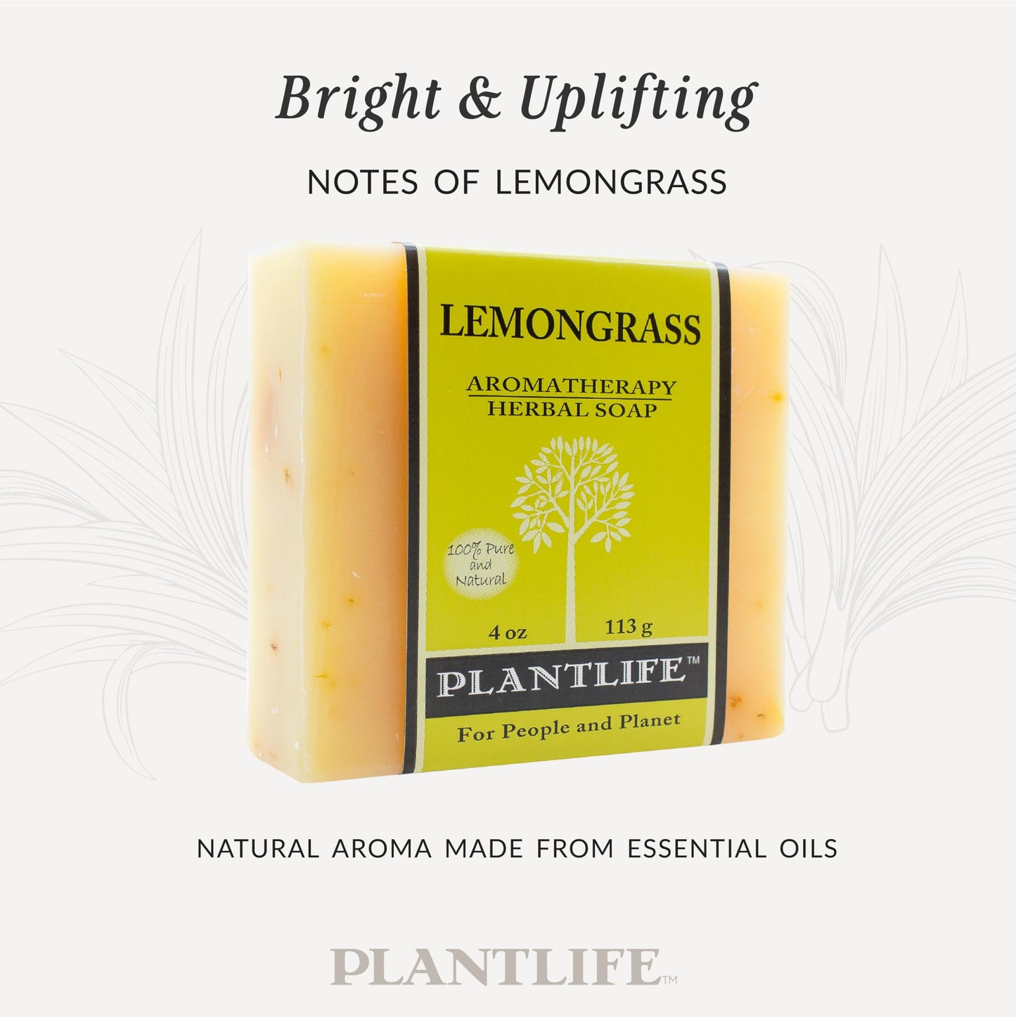 Plantlife Lemongrass 6-pack Bar Soap - Moisturizing and Soothing Soap for Your Skin - Hand Crafted Using Plant-Based Ingredients - Made in California Beauty & Personal Care Plantlife