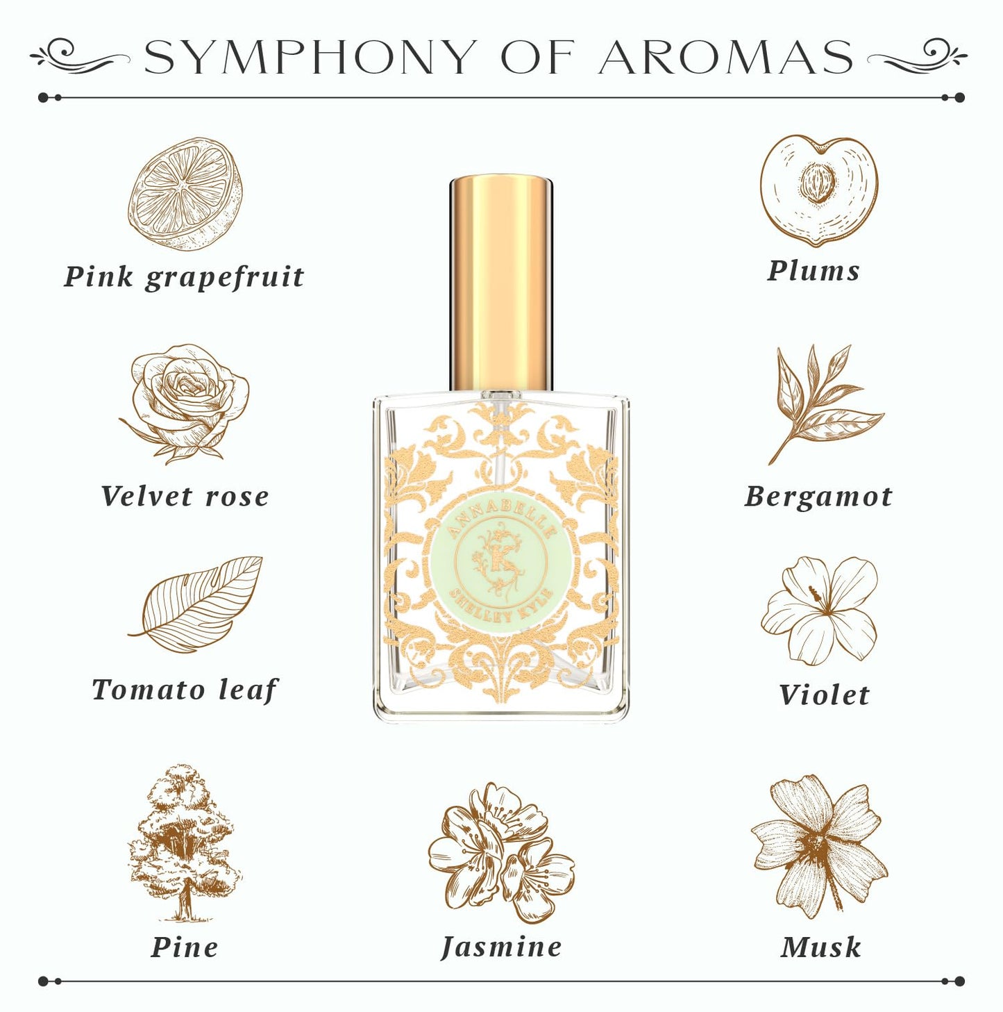 Shelley Kyle Unveiling Exquisite Fragrances with Travel Size Women's Perfume. Discover Enchanting and Tease Scents, Plus Floral Annabelle Perfume, 30 Beauty & Personal Care Shelley Kyle