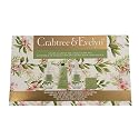 Crabtree & Evelyn Sweet Almond Oil Collection Set (Bath & Shower Gel 8.4 fl oz, Hand Therapy 3.5 oz, Body Lotion 8.4 fl oz, Bar Soap 3.5 oz) Beauty & Personal Care Crabtree & Evelyn
