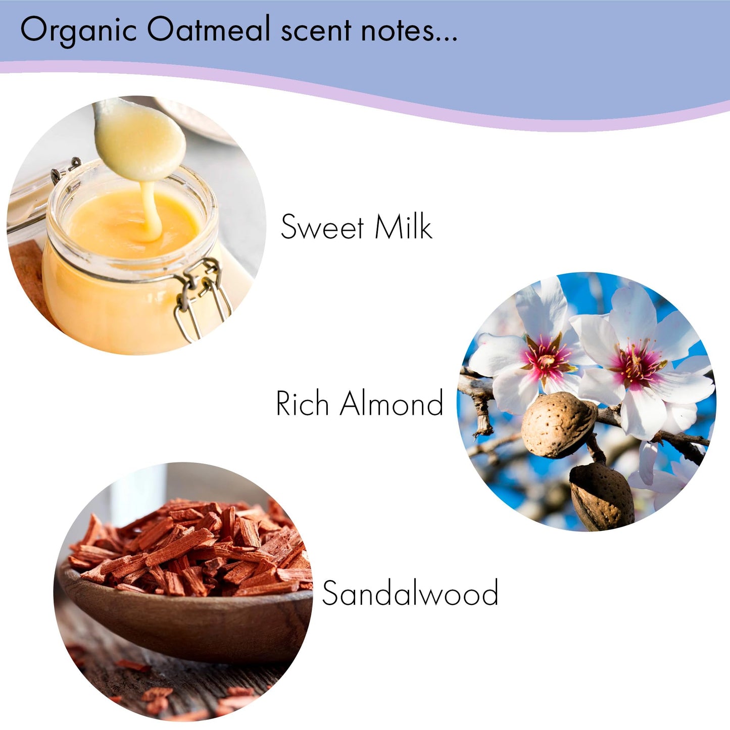 Floral Soap Sampler-Set of 6- Enriched with Shea Butter, Essential Oils, Natural Extracts (African Violet, Black Currant, Almond Butter, Lavender