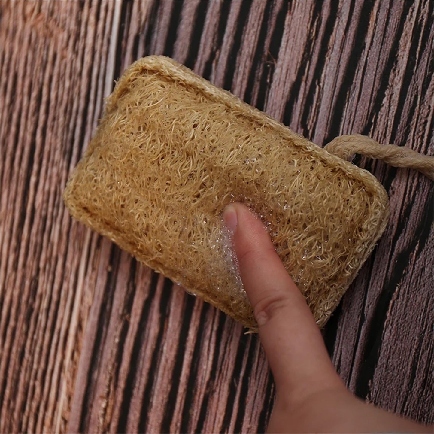 Kitchen Loofah Sponge Greener Clean Tools Non-Scratch Brush Natural Dish Scrubbers Luffa Loofa Lufa Sponge Tools(3 pcs) Beauty and Personal Care HIVJEEDYH