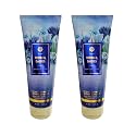 Bath & Body Works Body Cream, 8oz Each, Set of 2 - Aloe, Vitamin E, Shea (Denim Daisies)