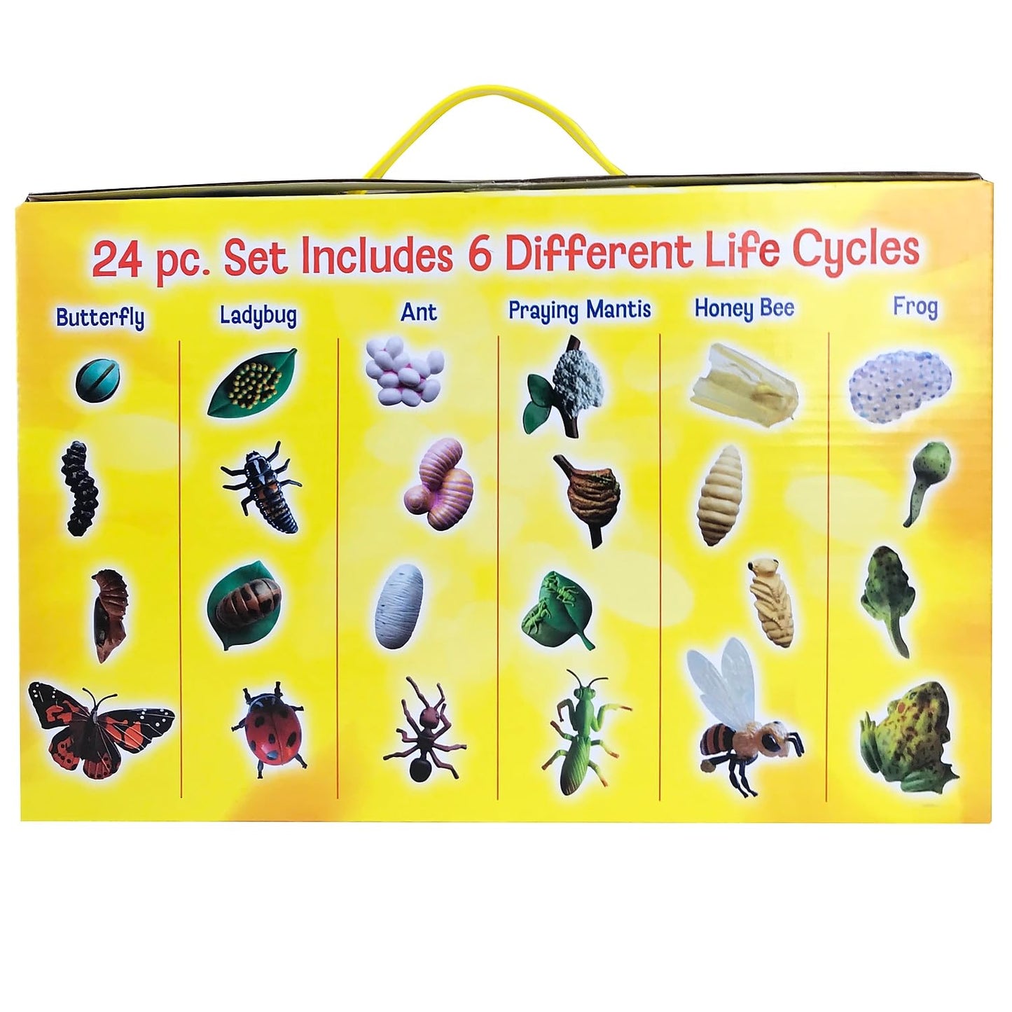 Insect Lore's Life Cycle Figurines 24 Pc Set | Butterfly, Ladybug, Frog, Honey Bee, Ant and Praying Mantis | 4 Stages Per Insect, 24 Figurines Total