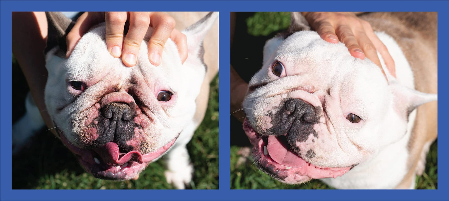 Squishface Wrinkle Paste – 2 Oz Cream for Bulldogs, Pugs & French Bulldogs – Cleans Wrinkles, Tail Pockets, Paws & Removes Tear Stains, Anti-Itch