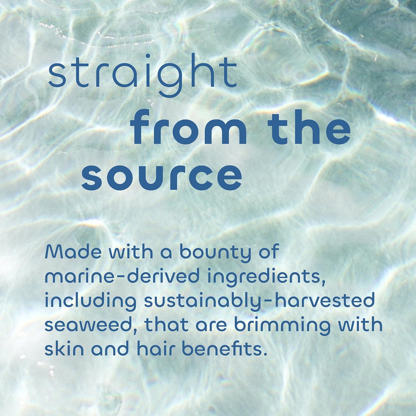 Seaweed Bath Co. Gentle Shampoo, Unscented, 12 Ounce, Sustainably Harvested Seaweed, Aloe, Argan Oil, for Sensitive Scalps and All Hair Types