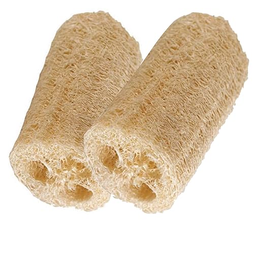 HealthGoodsIn - Organic Loofa Natural Bath Sponge, Set of 2 Exfoliating Bath Sponge Scrubber | Naturally Grown Loofah (Set of 2)