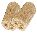 HealthGoodsIn - Organic Loofa Natural Bath Sponge, Set of 2 Exfoliating Bath Sponge Scrubber | Naturally Grown Loofah (Set of 2)
