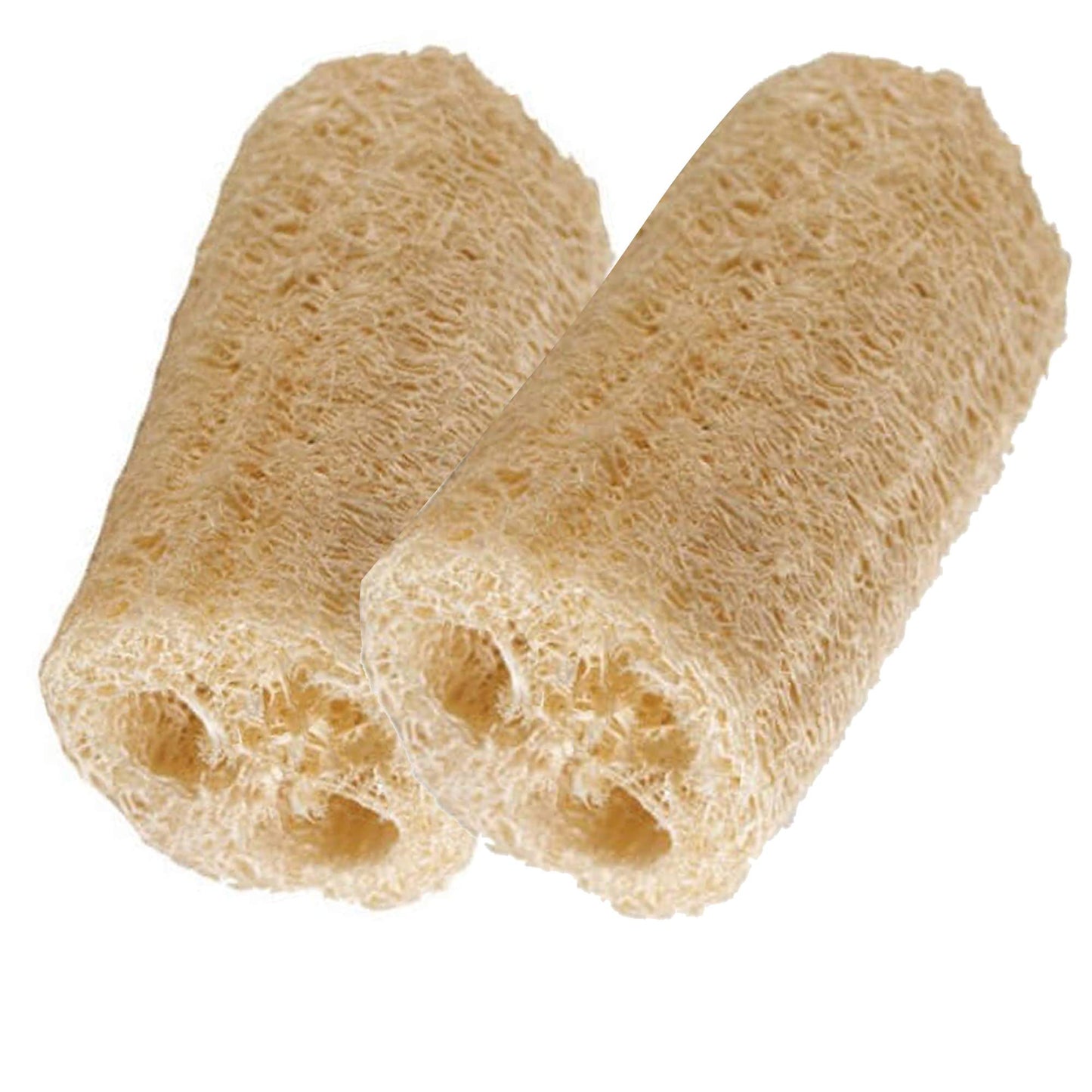 HealthGoodsIn - Organic Loofa Natural Bath Sponge, Set of 2 Exfoliating Bath Sponge Scrubber | Naturally Grown Loofah (Set of 2)