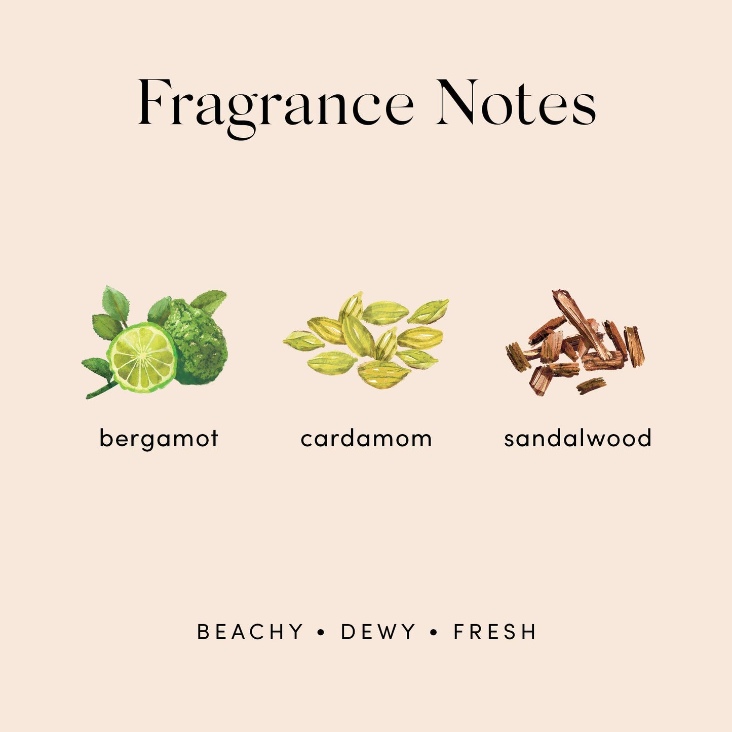 Isle Rollie Perfume By Skylar - Travel Size - Layerable Fragrance - Paraben Free, Vegan, Cruelty Free, Phthalate Free - Beachy and Fresh Scent - Notes Beauty & Personal Care Skylar