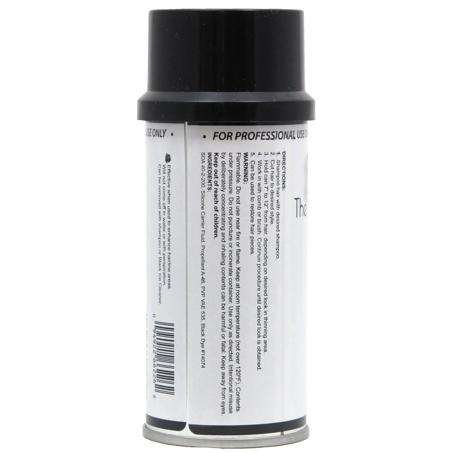 Black Ice The Original Touch Up Spray 4 oz