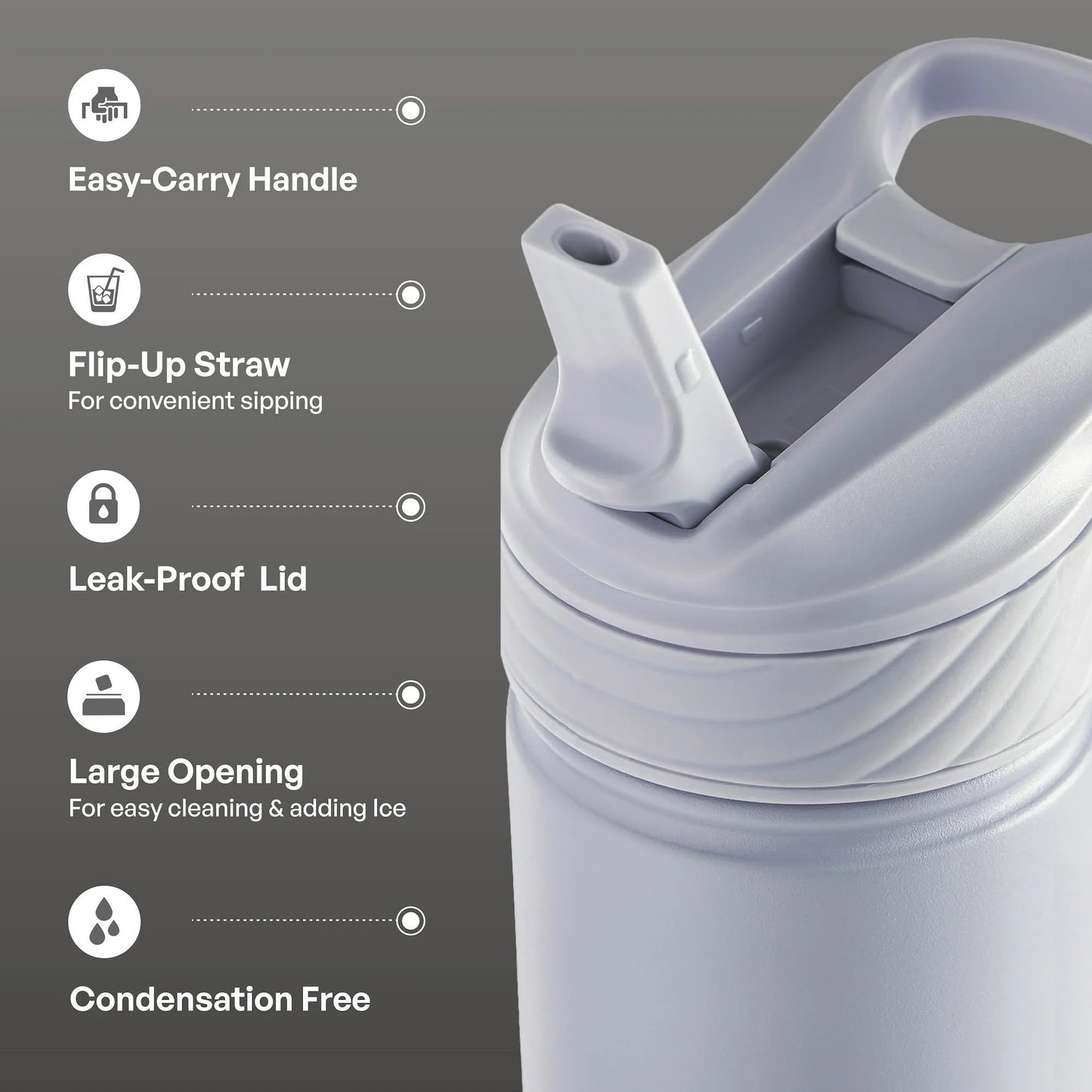 TAL Ranger Flip Water Bottle, 26 oz Capacity, Leak-Proof Lid with Straw, Easy-Carry Handle, Gray