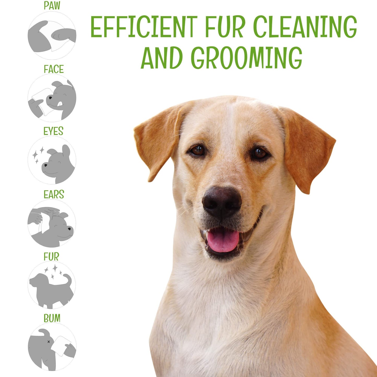 Petazy 400 Dog Wipes – Organic Lavender Scented Pet Wipes for Paws, Butt, Ears & Eyes – Extra Thick, Deodorizing + Bonus Glove Wipes for Dogs & Cats