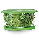 Prep Solutions by Progressive Lettuce Keeper Produce Storage Container, 4.7 Quarts, Green (LKS-06)