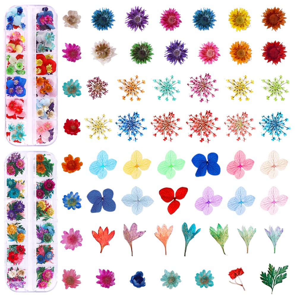 216PCS Dried Flowers - Nail Art Accessories Kits, 57 Color Lovely Natural Dried Flowers for Resin Molds and Nails, YWLI