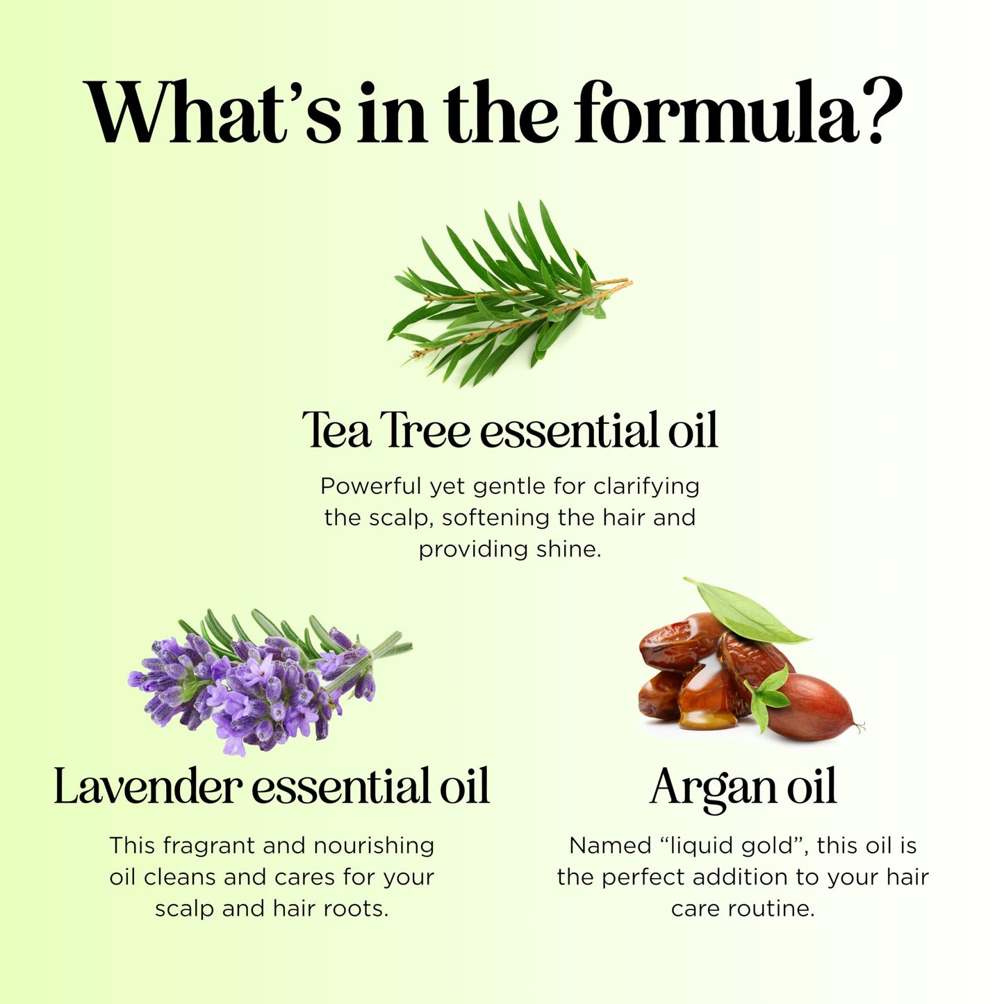 Clarifying Shampoo for Build Up & Oily Hair - Tea Tree Shampoo for Men and Women with Rosemary Essential Oil for Oily Hair and Scalp - Color Safe