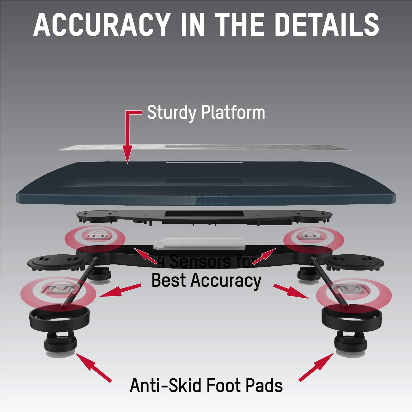 Taylor Digital Scales for Bodyweight Mixed Metal with Brushed Stainless Steel, 440 LB Capacity, Bathroom Scale, White Backlight Readout, Highly…