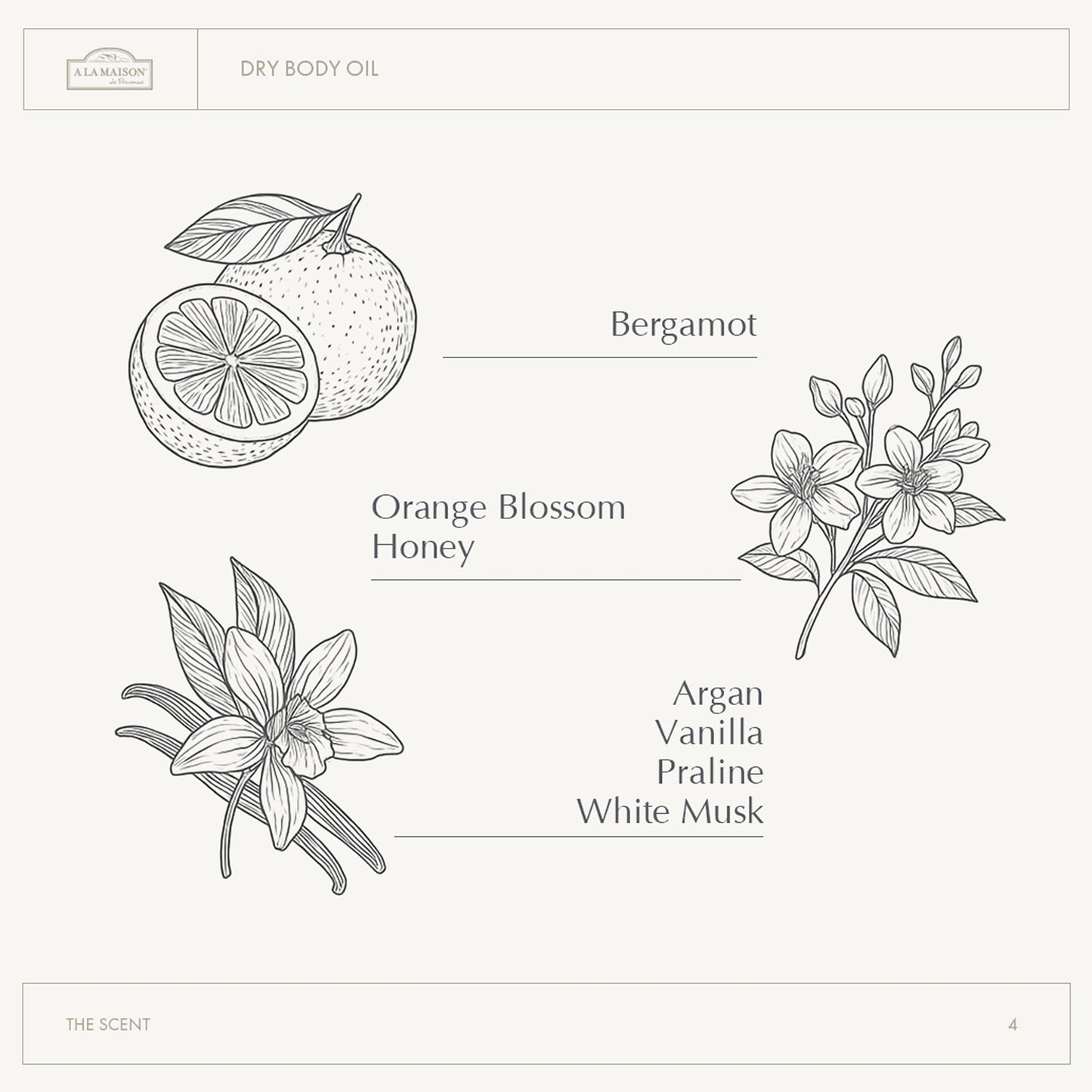 A LA MAISON Amber Collection Fresh Mint & Verveine Duo: Shower Oil - 3.3 oz Moisturizing & Fast-Absorbing Body Oil, 8.1 oz Hydrating Body Wash Beauty & Personal Care A LA MAISON