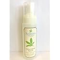 Holistix Volumizing Foam, 7 oz