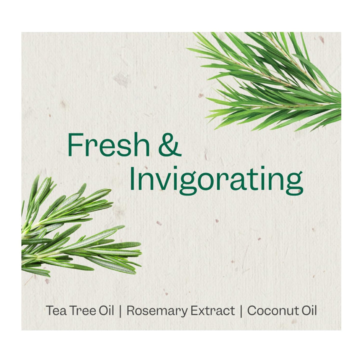 Renpure Plant Based Tea Tree and Rosemary Refresh and Rebalance Shampoo - Soothes Dry Scalp - Delivers Moisture and Shine - Rids Hair of Grime - Dye
