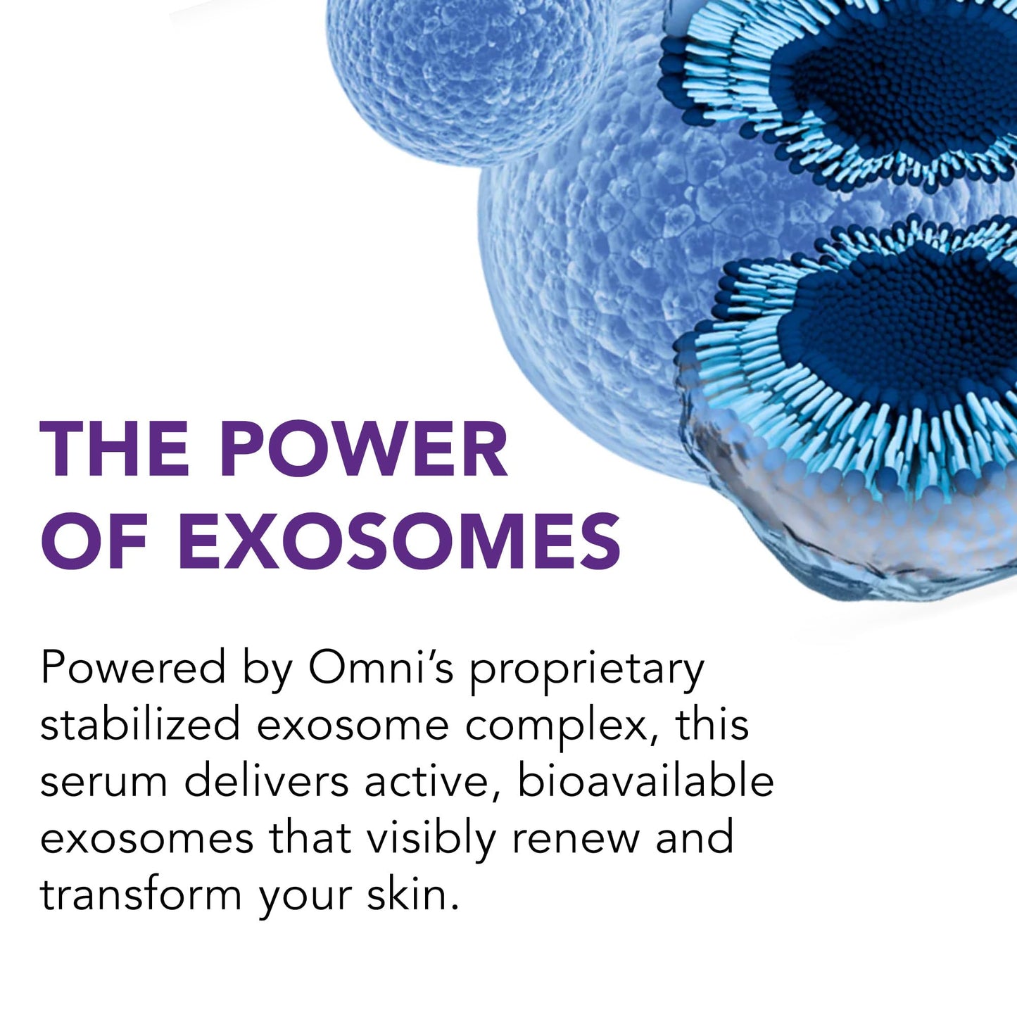 Omni Bioceuticals Skin Rejuvenating Exosome Facial Serum, Over 1 Billion Regenerative Exosomes, Bio-hacking, Copper Peptide GHK-Cu, Niacinamide Beauty & Personal Care Omni Bioceuticals