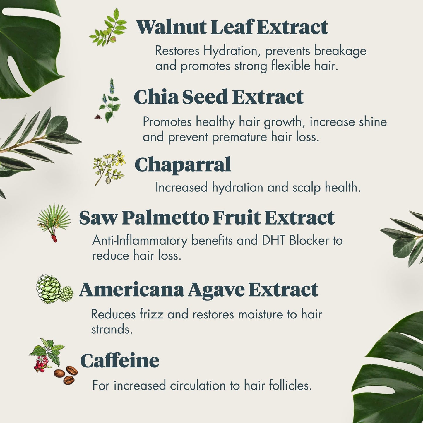 REVIV3 PROCARE Thicken Instant Thickening and Volumizing Spray with UV protection for hair, Plant Based with Walnut Extract and Essential Amino Acids