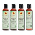 Tropic Isle Living 3x Hair Gro Rosemary Mint Shampoo 8oz and Conditioner 8 oz Gently Cleanses, Repairs & Nourishes with Mint, Aloe Vera & Shea Oil