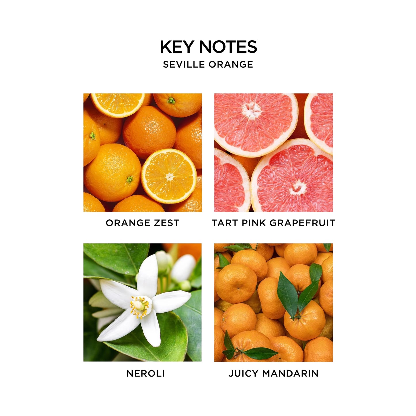 NEST New York Perfume Oil Discovery Set - Includes Balinese Coconut, Turkish Rose, Seville Orange, Indian Jasmine & Madagascar Vanilla - Vegan