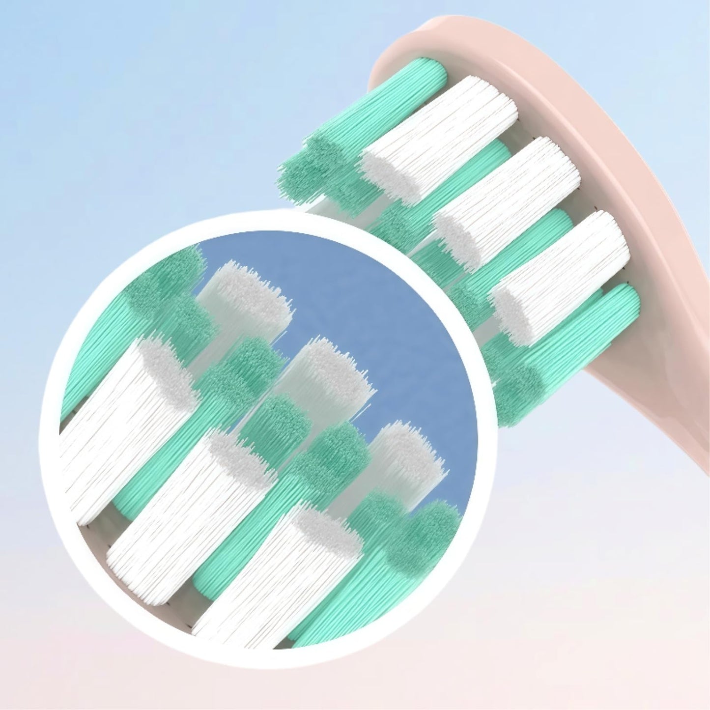 Replacement Toothbrush Head. Compatible for Usmile P1 P10 P20 P20PRO U1 U2 U3 P4 Electric Toothbrush(4 White Models) Beauty and Personal Care Orfdcnhlkc