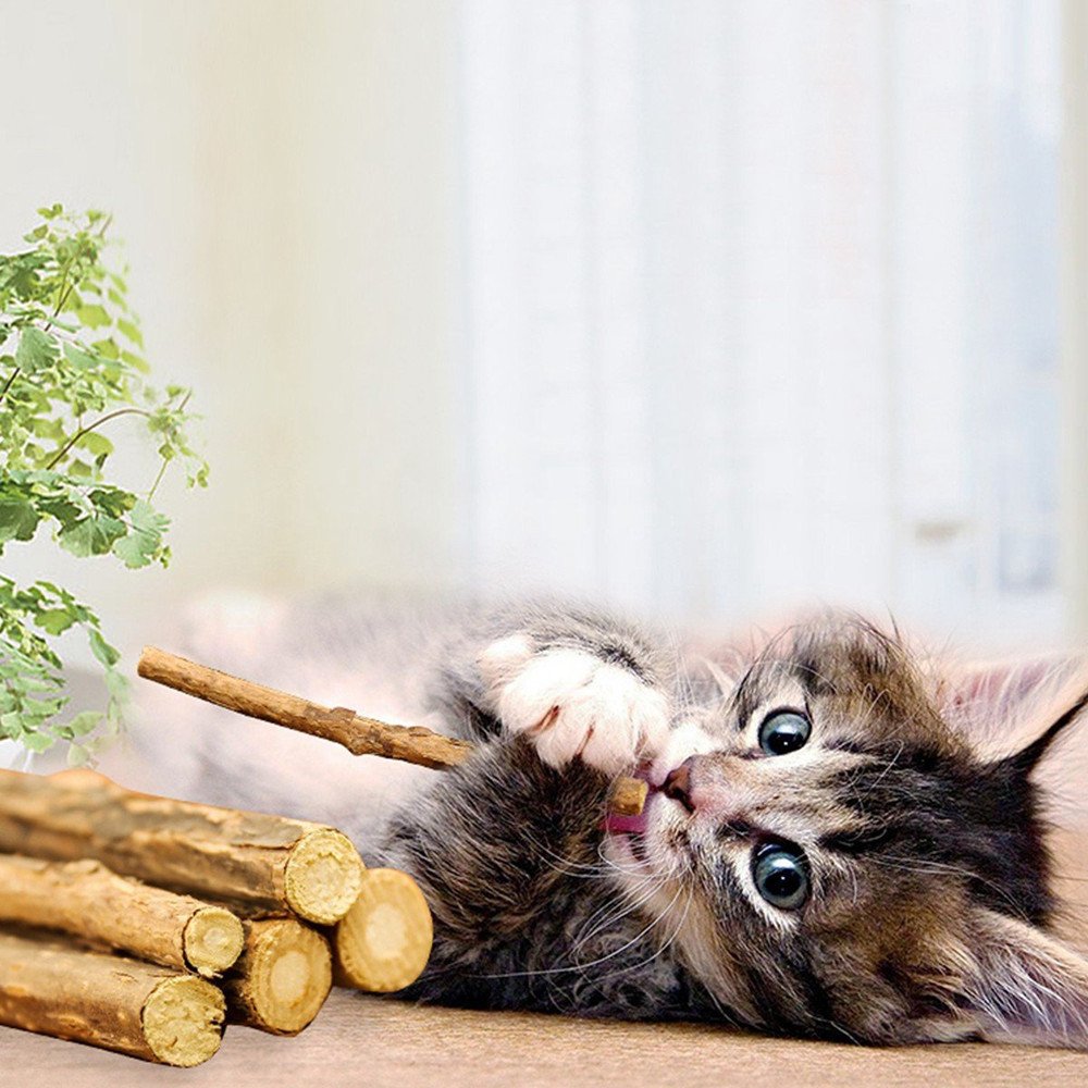 WoLover Silvervine Sticks for Cats, Natural Catnip Matatabi Chew Sticks Teeth Molar Chew Toys for Cat Kitten Kitty (at Least 12 PCS)