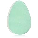 Body Benefits-Gentle Exfoliating Facial Scrub Sponge-0.02 Pound (Pack of 6); For Improved Facial Cleansing Circulation and Healthier Look(Packaging