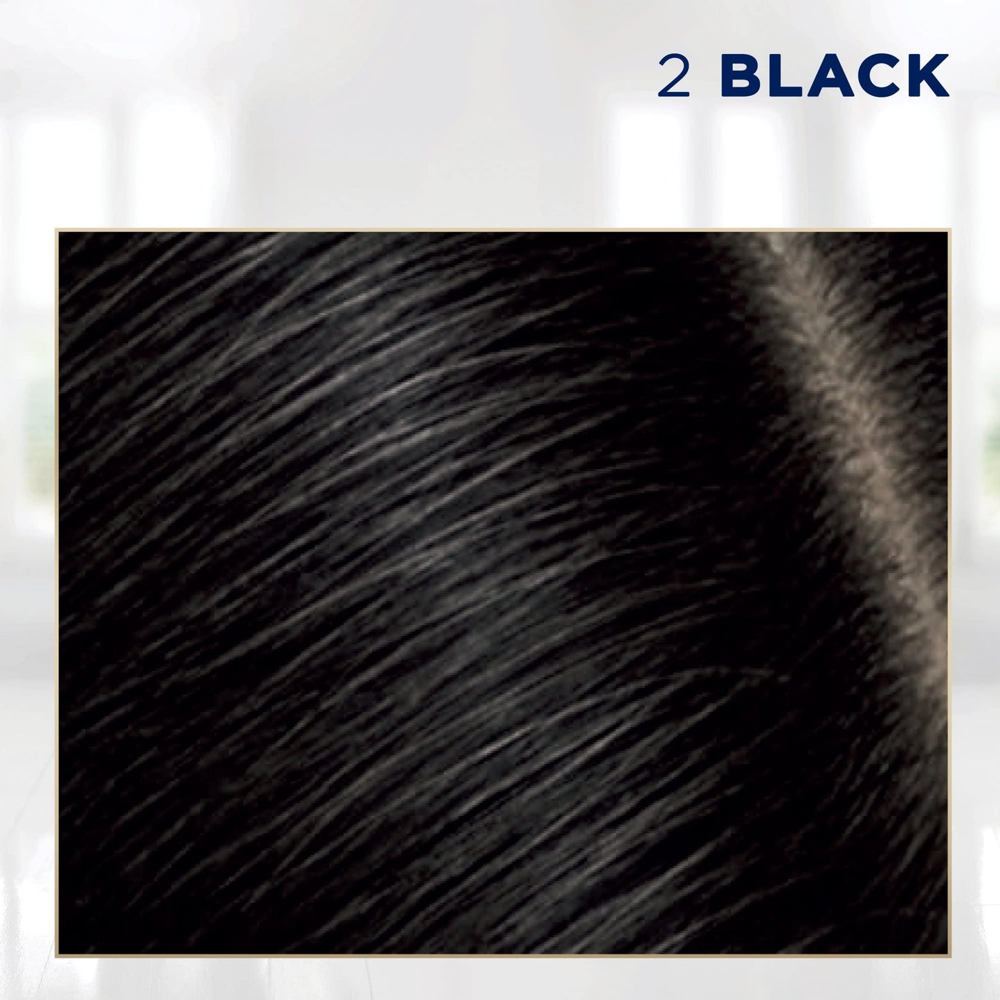 Clairol Permanent Root Touch-Up, Black [2], 1 ea